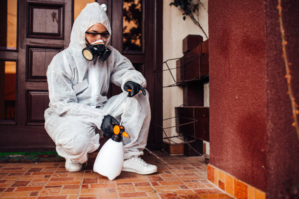 Reliable Ant Control contractor in Chamberlain, SD by Show Me Pest Control
